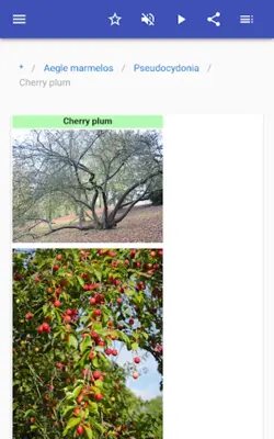 Fruit trees android App screenshot 6